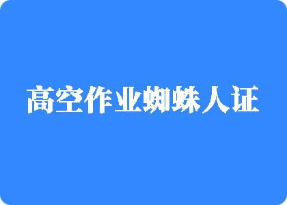 被舔被插被操的爽死了视频高空作业蜘蛛人证